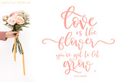 Sugarlove Script, a Script Font by Beck McCormick (Thumbnail 2 of 9)