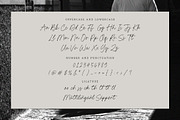 Dimitra Bothani Font, a Script Font by Timurtype (Thumbnail 6 of 7)