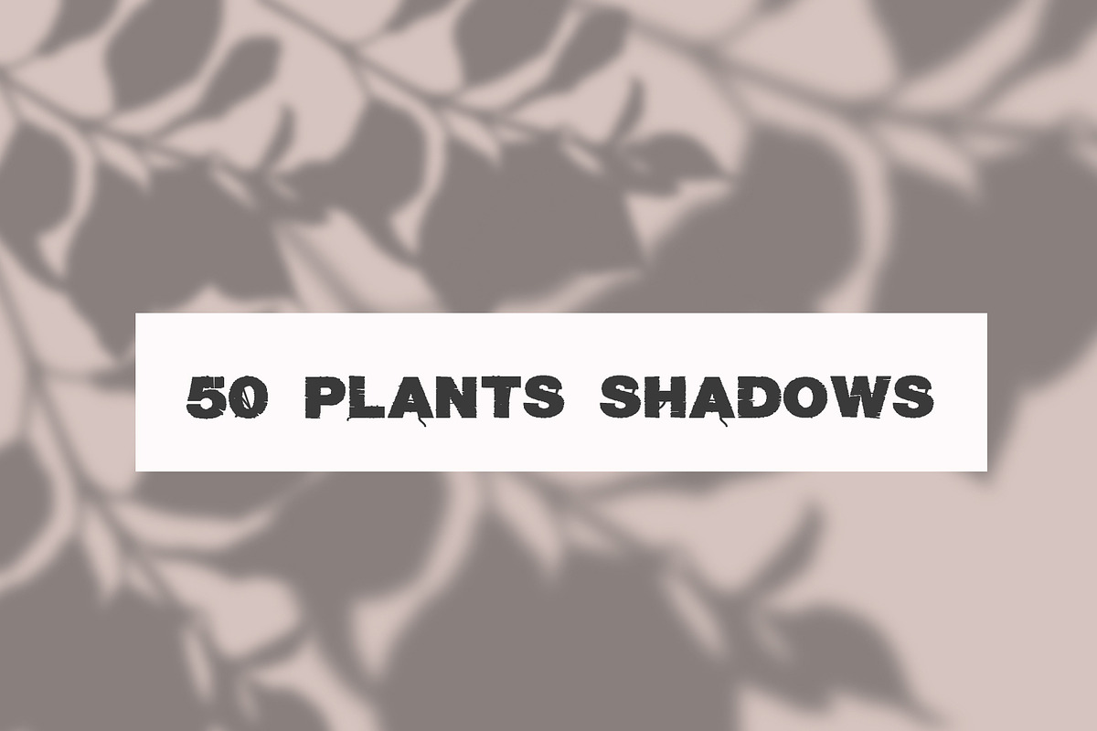 50 plants shadows, a Mockup by AnastasiyaOleynik (Photo 1 of 14)