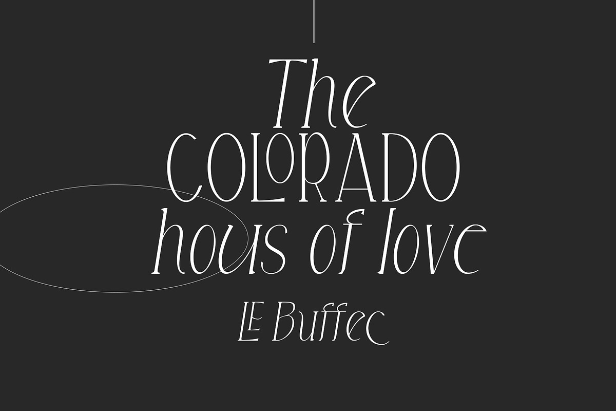 LE Buffec | 18 Font Family, a Serif Font by Jolicia Type (Photo 5 of 17)