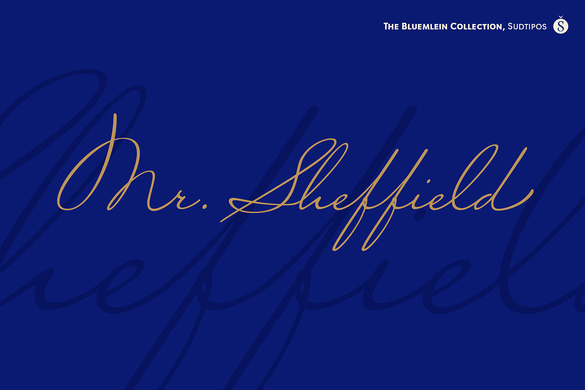 Mr Sheffield Pro