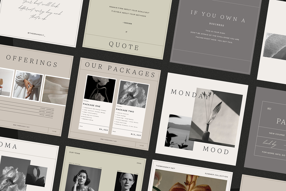 Paloma Social Media Kit, a Social Media Template by The Brand Kit (Photo 9 of 9)
