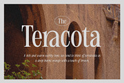 Humble Nostalgia - Elegant Serif, a Serif Font by Arterfak Project (Thumbnail 12 of 13)