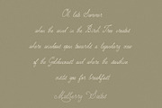 Handwritten Elegant Serif & Script, a Handwritten Font by Laras Wonderland (Thumbnail 11 of 12)