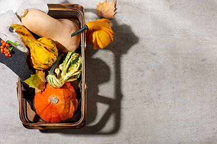 autumn flat lay on grey background with pumpkins and basket, an Abstract Photo by Alliance Images