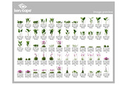 108 Assorted Plants Photo Overlays, a Nature Photo by KenScape (Thumbnail 3 of 4)