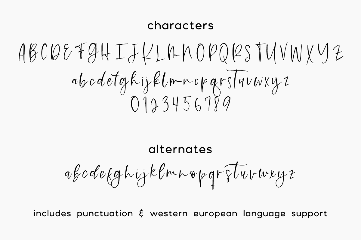 Honeycrisp Script, a Script Font by Beck McCormick (Photo 10 of 10)