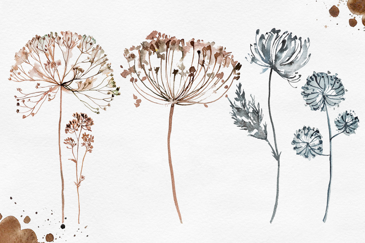 Herbarium Master Collection, a Decorative Illustration by AlexGreenArt (Photo 9 of 12)