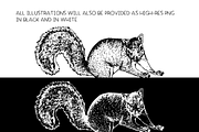 Squirrels & chipmunks illustrations, an Animal Illustration by Renée from Studio neetje (Thumbnail 4 of 4)