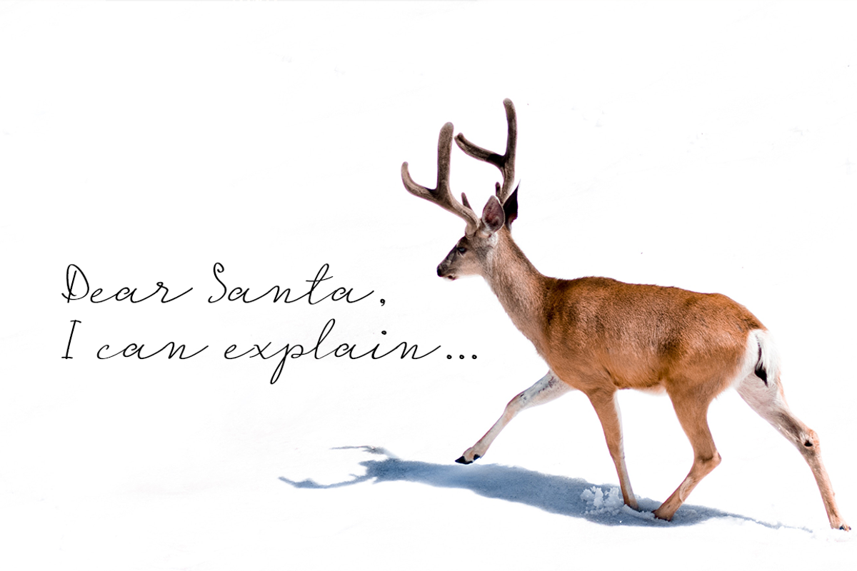 Under the Mistletoe- Script Font preview 4