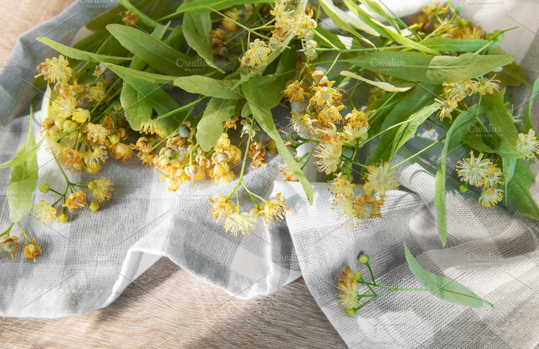 Linden flowers and leaves on a textile napkin, a Nature Photo by Olena Rudo