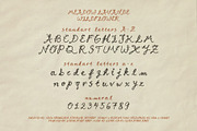 Meadow Lavande - Romantic Font, a Handwritten Font by nadispasibenko (Thumbnail 11 of 13)