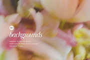 Blur Flower Abstract Backgrounds, a Background Graphic by eclosque (Thumbnail 6 of 27)