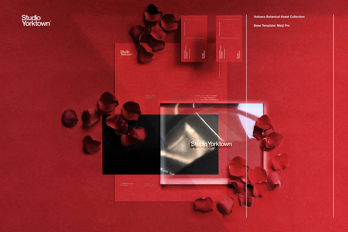 Ikebana Botanical Asset Collection, an Object Graphic by Studio Yorktown (Photo 13 of 15)
