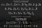 Weekday, a Handwritten Font by FreshTypeINK (Thumbnail 8 of 8)