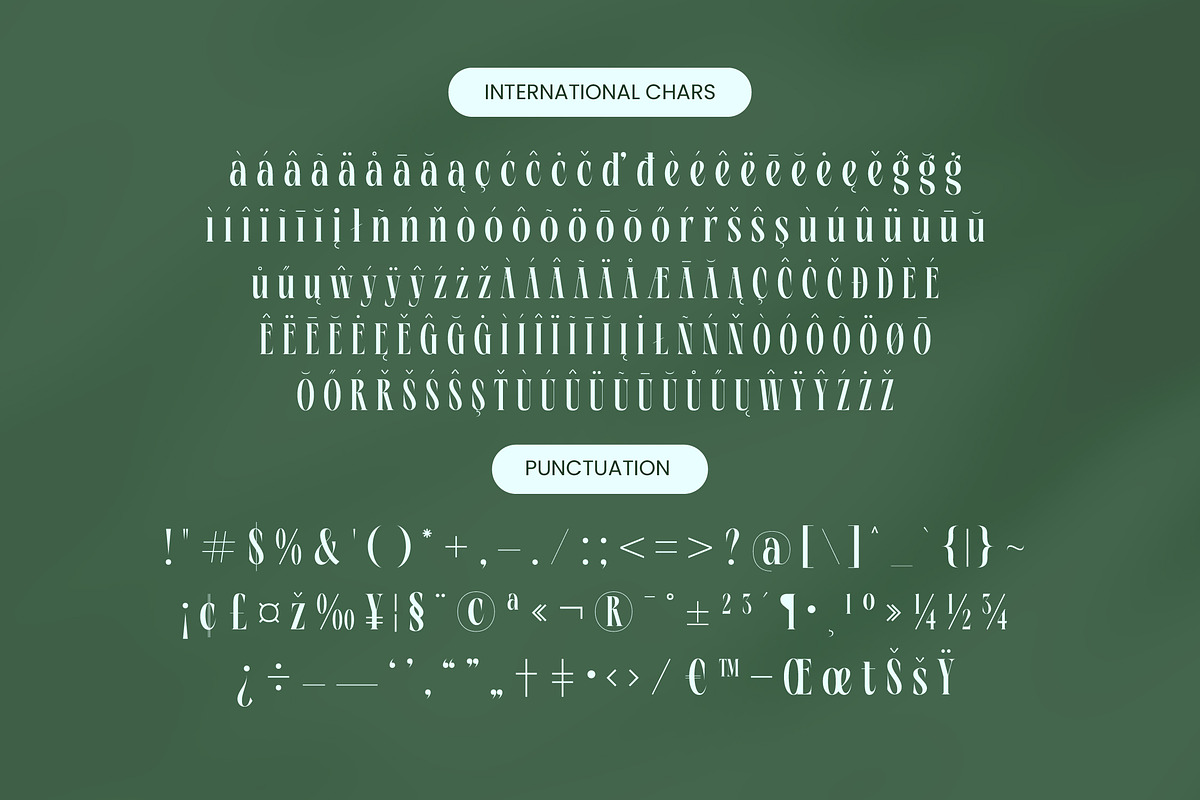 Repslag Brocker Luxury Serif Font, a Serif Font by timelesstype.co (Photo 19 of 20)