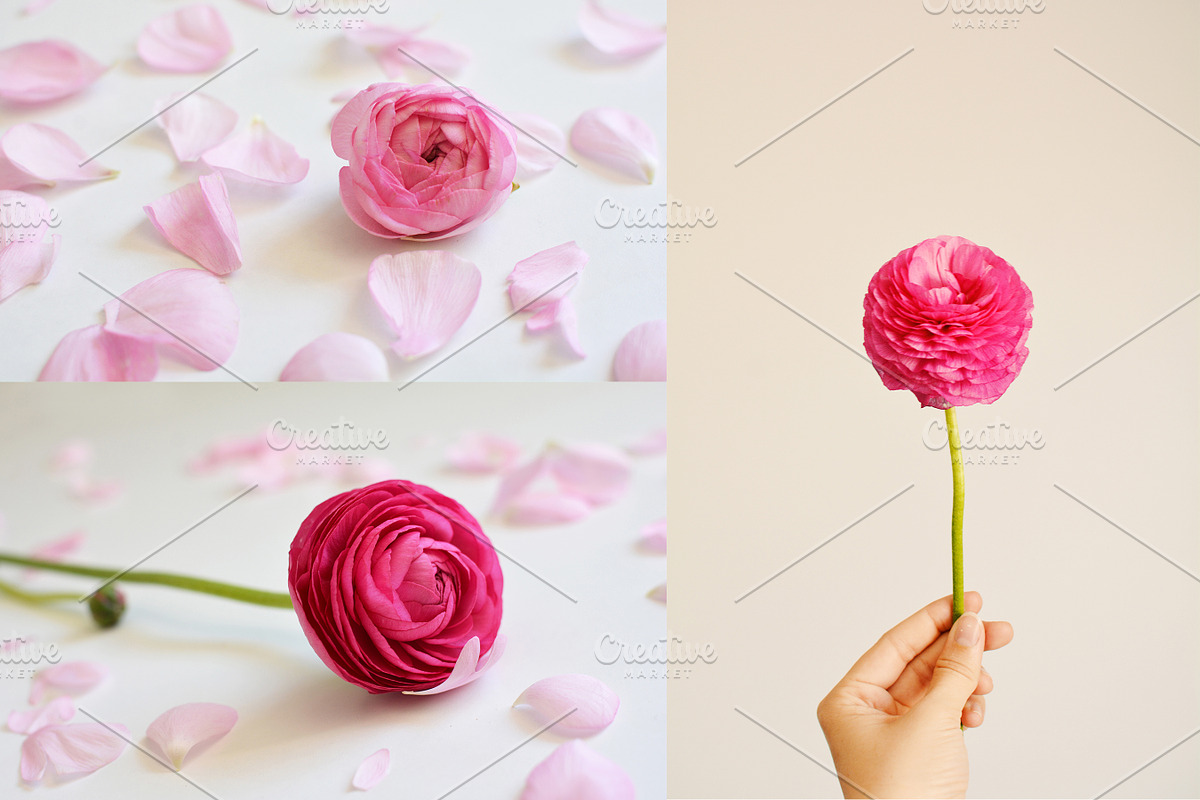 PrettyPetal Stationary Mockup Bundle, a Print Template by Barn Owl Studio (Photo 10 of 10)
