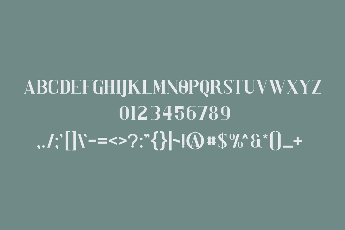 Vannela - Font, a Serif Font by artchiles_design (Photo 4 of 5)