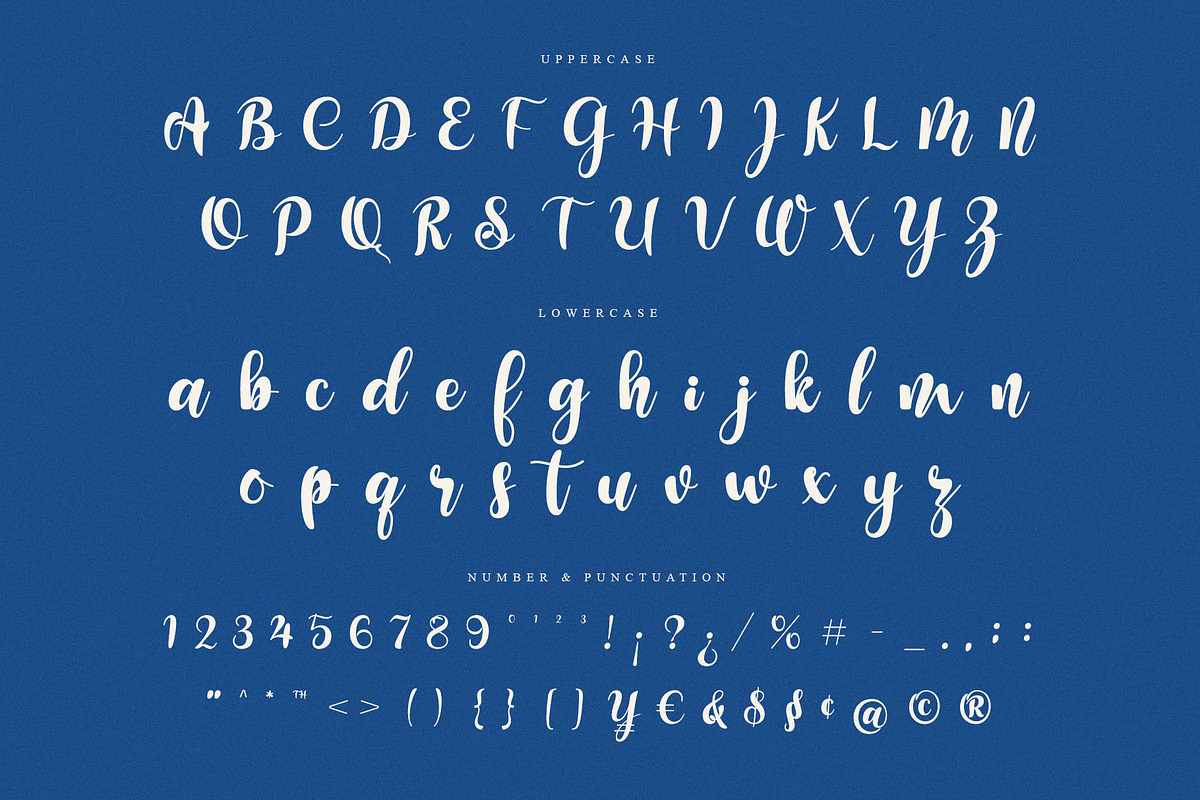 Shadenz - Script Display Font, a Script Font by Almeera Std (Photo 9 of 10)