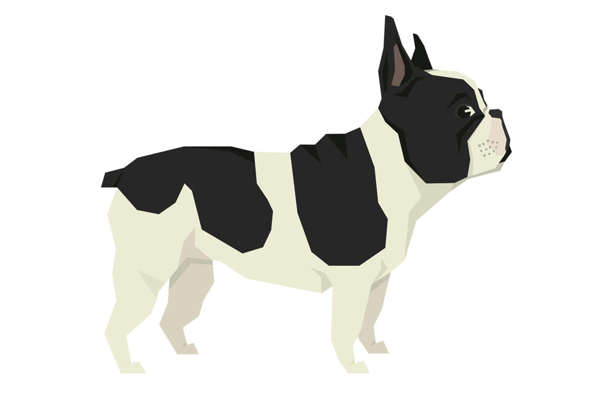 Dog breeds French Bulldog, an Object Graphic by Nenilkime (Photo 2 of 3)