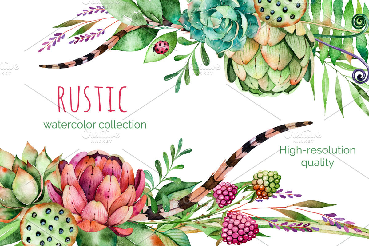 Rustic watercolor collection, an Illustration by Kate_Rina