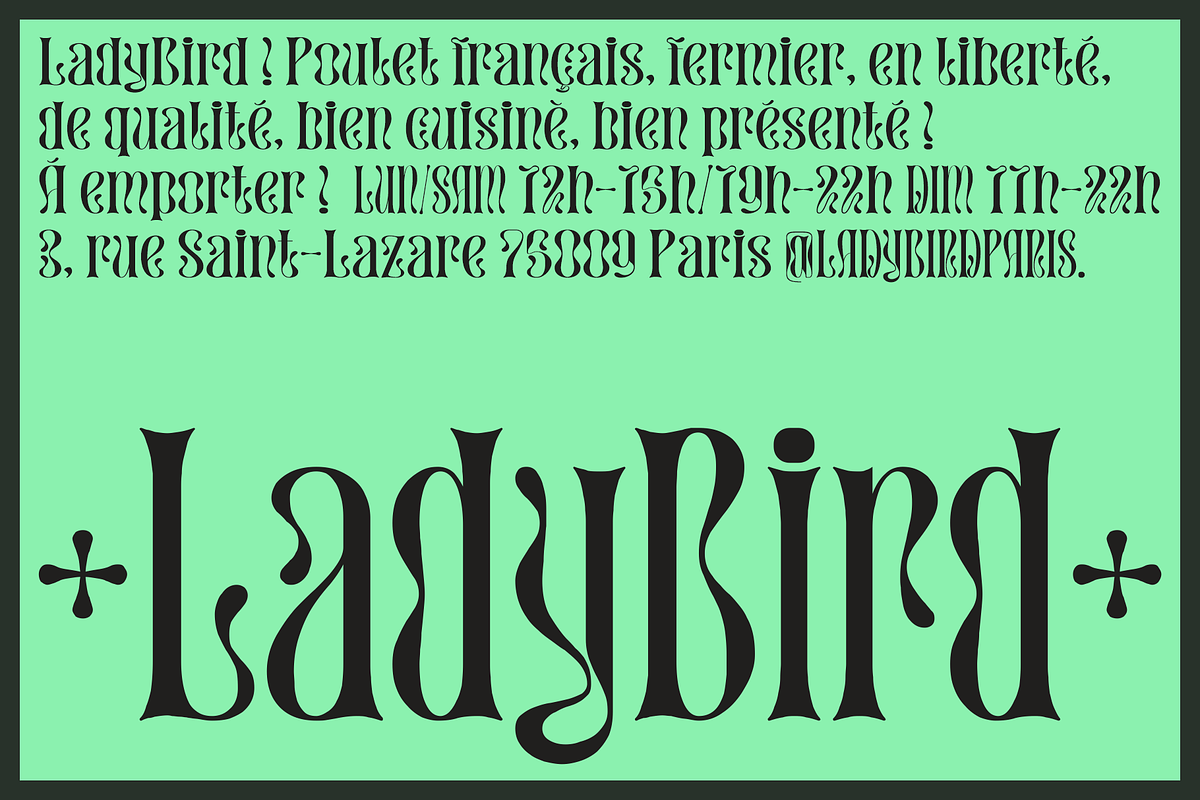 the Upstairs Font, a Script Font by RedyStudio (Photo 9 of 15)