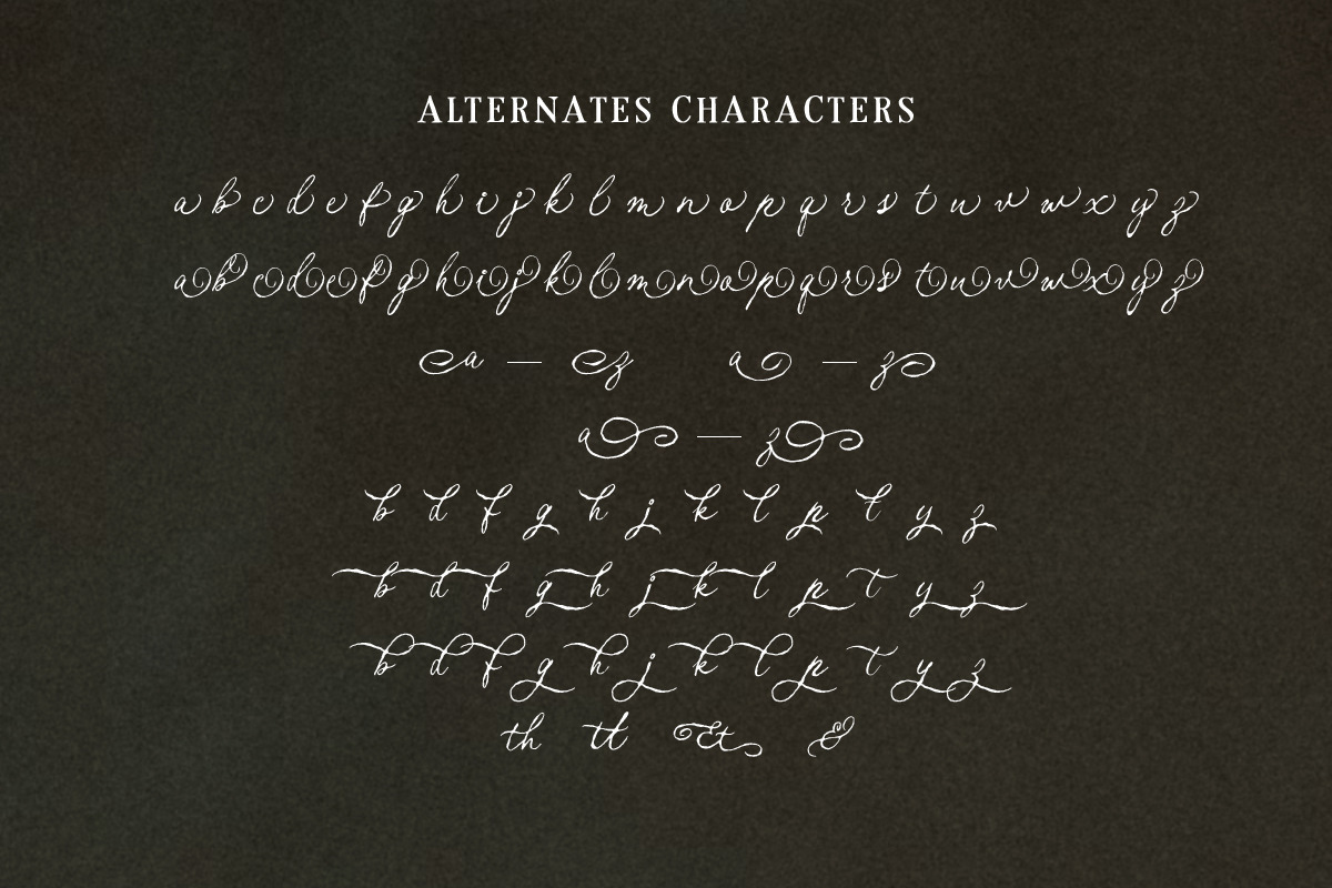 Enchanted Vintage Distressed Script, a Script Font by Littlehand (Photo 8 of 9)