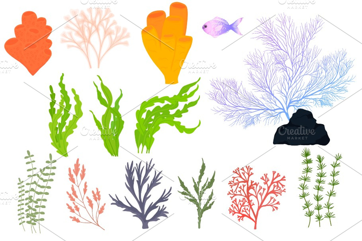 Ocean Sea Collection, a Seasonal Illustration by MariiaVasilenko (Photo 3 of 8)