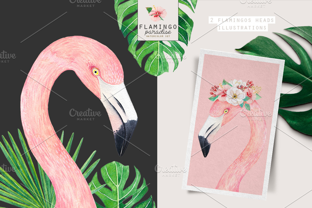 FLAMINGO PARADISE watercolor set, an Illustration by Natali Smolova (Photo 8 of 11)