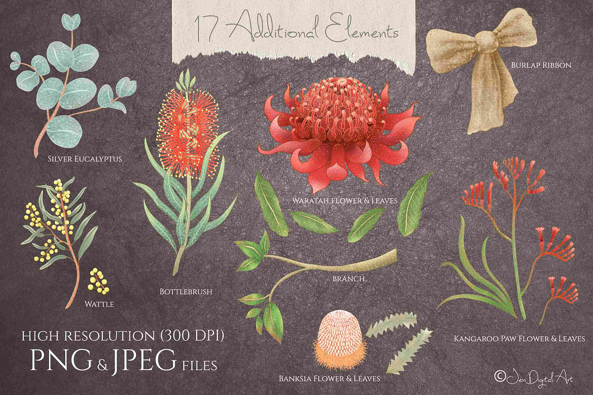 Australian Birds & Flowers, an Animal Illustration by Jen Digital Art (Photo 3 of 7)