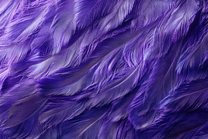 Deep Purple and Teal Feather Pattern for Elegant Design, an Abstract Photo by Natalia Klenova's Shop