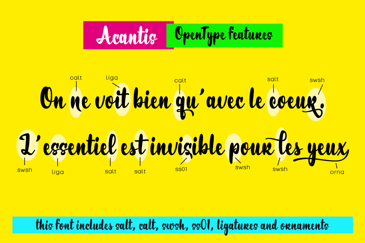 Acantis, a Script Font by Eurotypo (Photo 4 of 5)