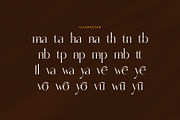 Qinanta Elegant Font, a Serif Font by Graphicxell (Thumbnail 8 of 8)