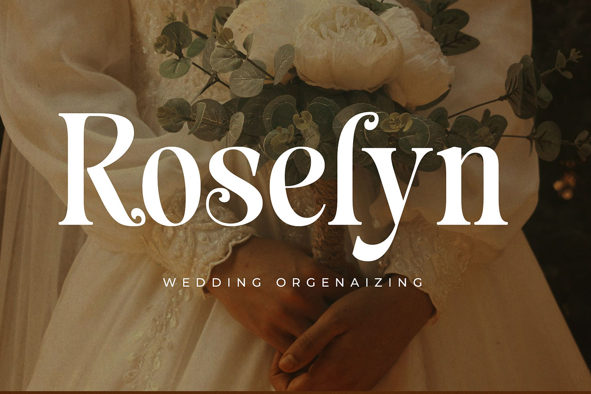 Blenisa Modern Beautiful Font, a Serif Font by RantautypeStudio (Photo 6 of 17)