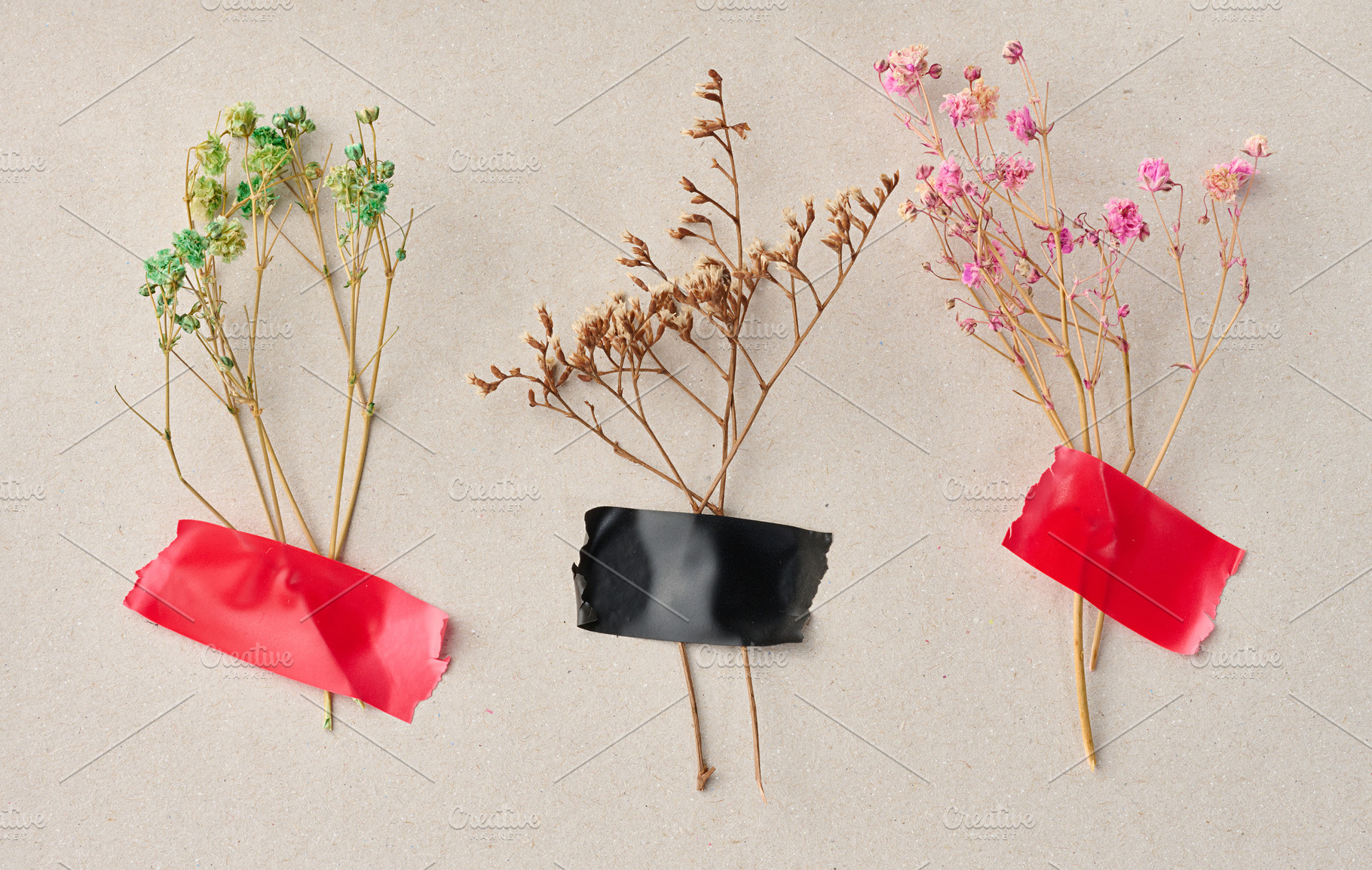 Three sprigs of multi-colored dried flowers are glued with red a, a Nature Photo by ndanko