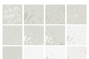 Botanical Background Collection, a Background Graphic by Anna Sokol (Thumbnail 3 of 14)
