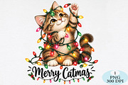 Merry Christmas Cat Lights PNG, a Seasonal Illustration by Daily.Designs (Thumbnail 1 of 5)