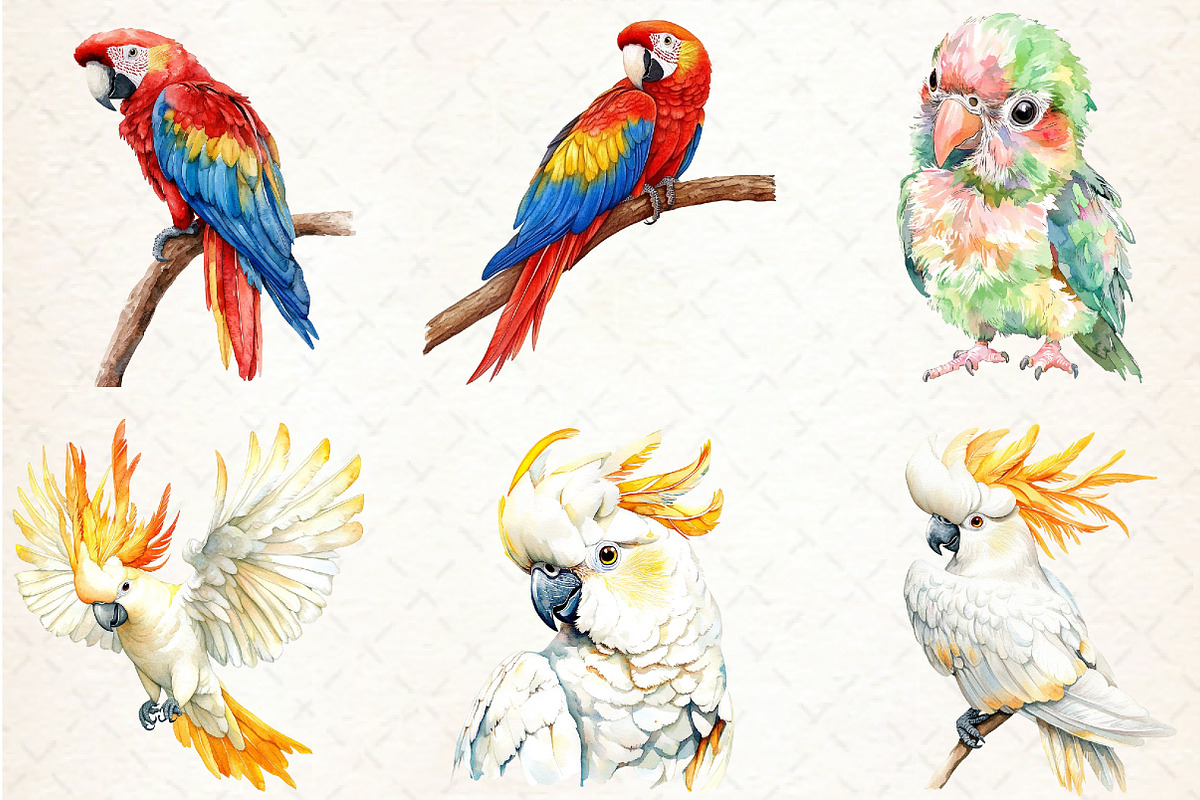 Watercolor Tropical Parrots Clipart, an Illustration by Libby Wishes (Photo 6 of 6)
