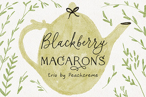 Blackberry Macarons // Font Trio, a Script Font by PeachCreme