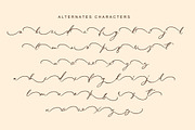 Ultimate Culture, a Script Font by Artic Type (Thumbnail 6 of 9)