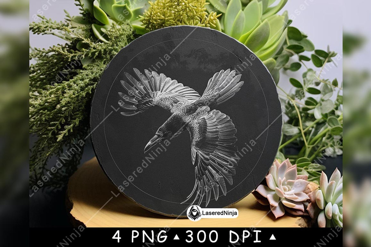 Flying Raven Mysterious Dark Circle, a Background Graphic by LaseredNinja (Photo 3 of 7)