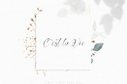 Santa Fiora SVG Font Duo, a Script Font by Ivan Rosenberg (Thumbnail 6 of 15)