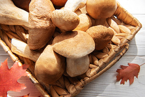 Porcini mushrooms in basket with autumn leaves on wood, a Food & Drink Photo by Olena Rudo