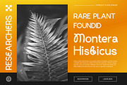 Elsanz || Modern Sans Serif Font, a Sans Serif Font by Ermedia Studio (Thumbnail 6 of 10)