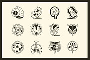 Anatomy Drawing Illustration, an Outline Icon by Vectors Market (Thumbnail 6 of 8)