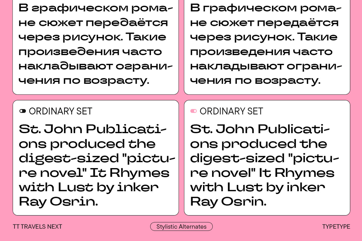 TT Travels Next, a Sans Serif Font by TypeType (Photo 10 of 15)