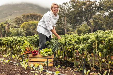 Carefree female chef harvesting fresh vegetables, a Person Photo by Jacob Lund