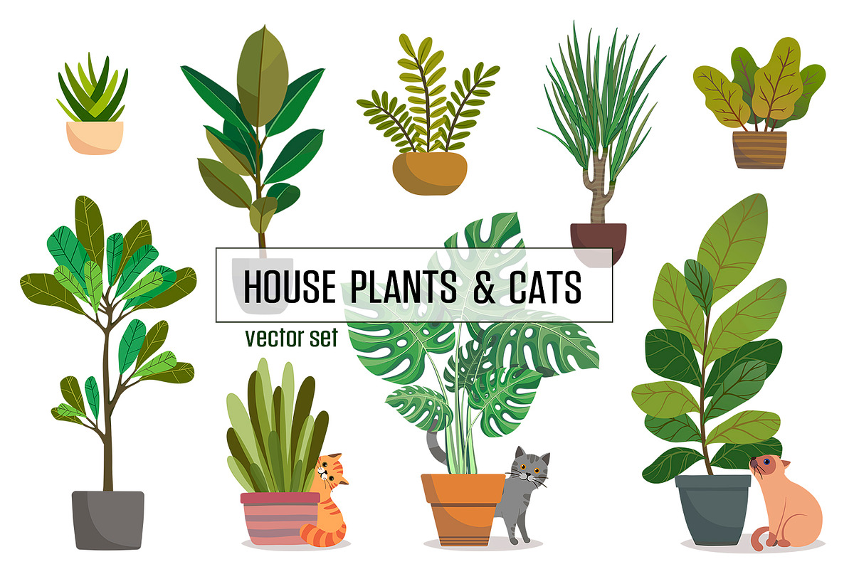House plants and cats, an Object Graphic by Green_leaf_17 (Photo 1 of 3)