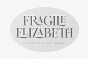 Astegra - Ligature Serif, a Serif Font by Mulkan Nazir (Thumbnail 9 of 17)