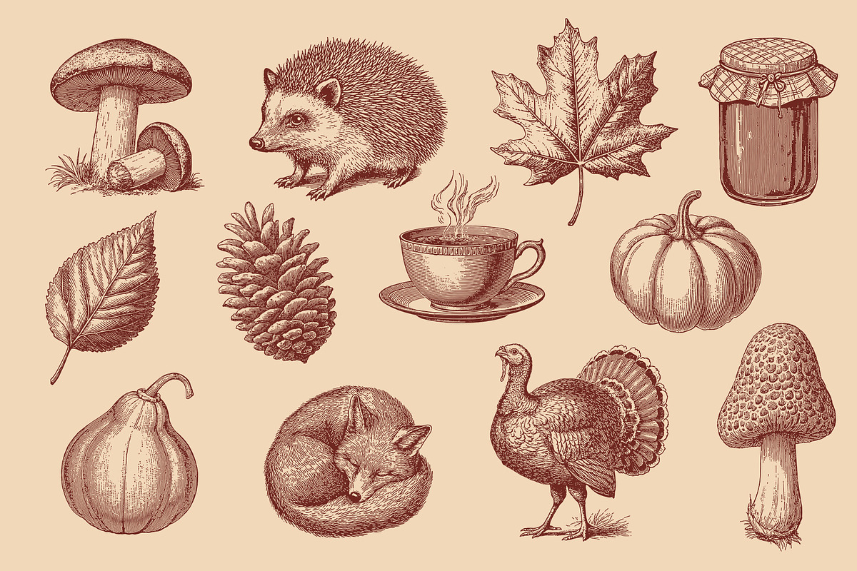 Vintage Autumn Illustrations, a Seasonal Illustration by Graphic Goods (Photo 2 of 8)